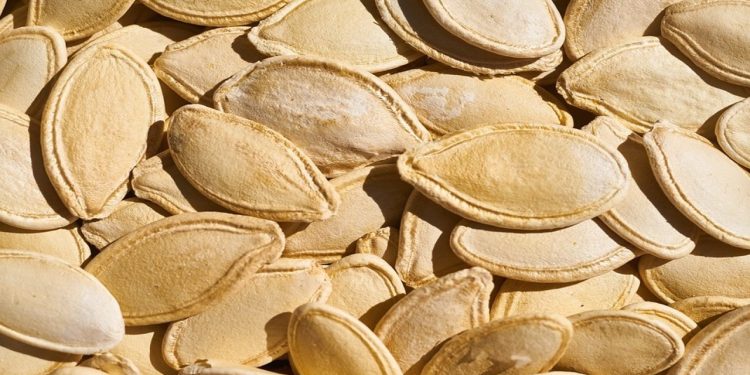 Kabak çekirdeğindeki büyük tehlike- Görmezden gelmemeniz gerekiyor