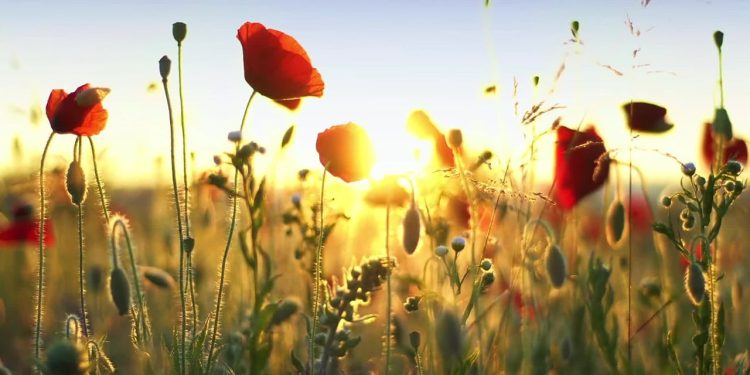 Karamollaoğlu: Mayıs’ta iklim değişecek