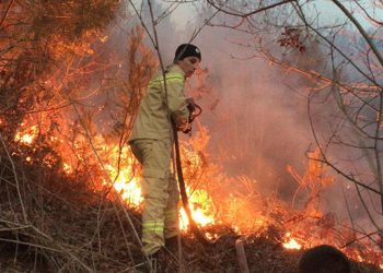Karasu'da otlar tutuştu, yangın çam ormanına sıçradı