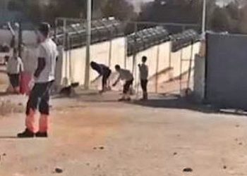 Köpeğin kürekle öldürülmesi davasında 'suça meyilli kişiliğe sahip değiller' indirimi