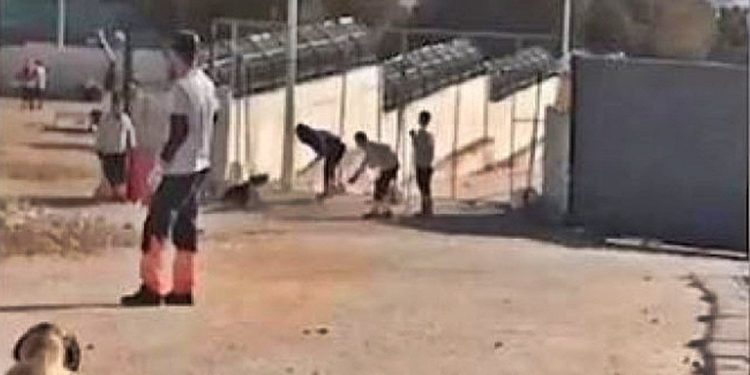 Köpeğin kürekle öldürülmesi davasında 'suça meyilli kişiliğe sahip değiller' indirimi