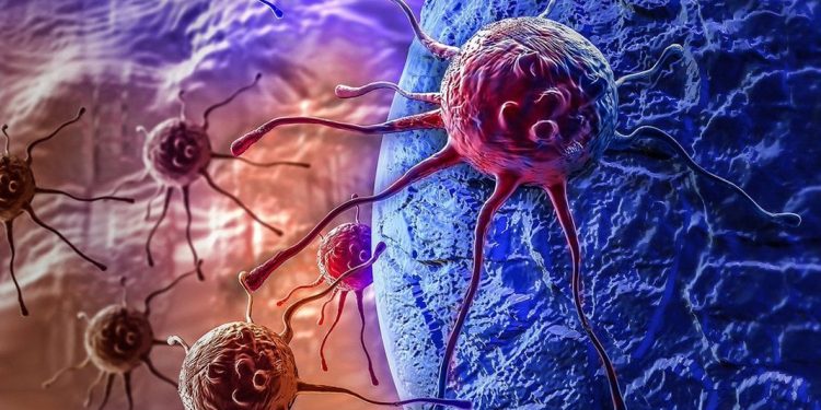 Korona, Omicron derken şimdi de ‘Kraken’ alarmı: Yeni kâbus Türkiye’de başlamış olabilir