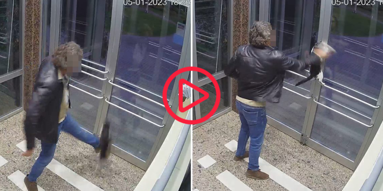 Küçükçekmece'de kediyi tekmeleyen kişi gözaltına alındı