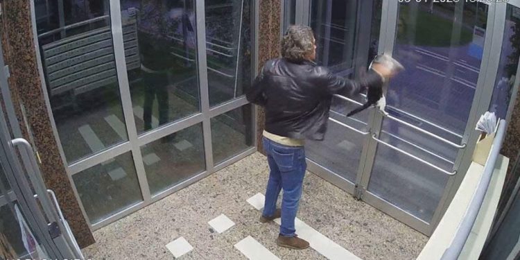 Küçükçekmece'de kediyi tekmeleyen kişi serbest bırakıldı