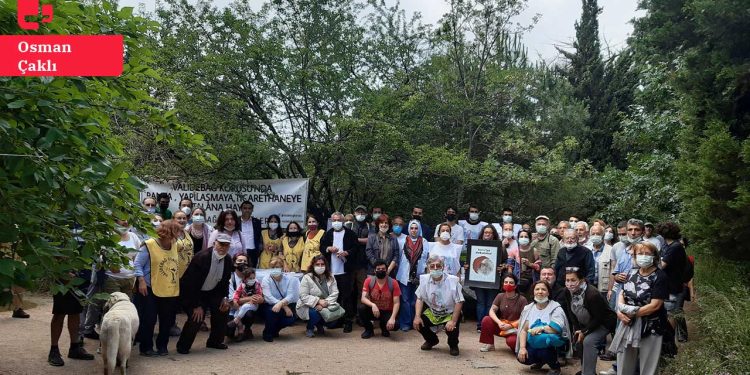 Mahkeme Validebağ Korusu’nu imara açan planları iptal etti