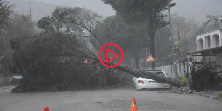 Marmaris'te sel ve fırtına: Ağaçlar yerinden söküldü