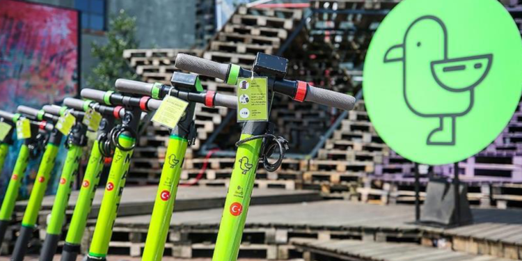 Martı ile İBB anlaştı: Park yeri inşa edilecek