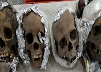 Meksika havalimanındaki kutuda dört kafatası bulundu