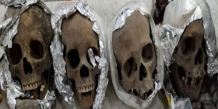 Meksika havalimanındaki kutuda dört kafatası bulundu