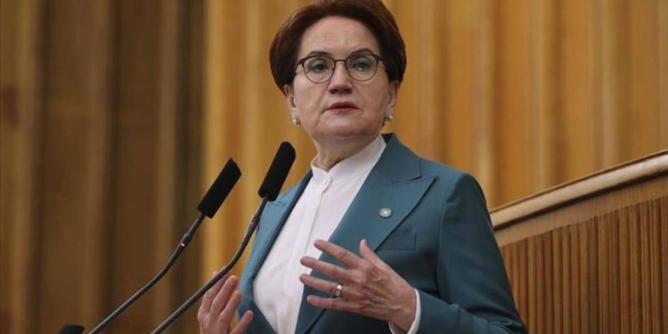 Meral Akşener'den yeni seçim videosu: 'Devlete cesaret yakışır'