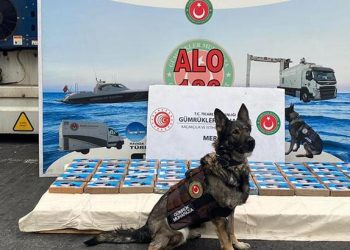 Mersin Limanı’nda operasyon: 56 kilogram kokain ele geçirildi