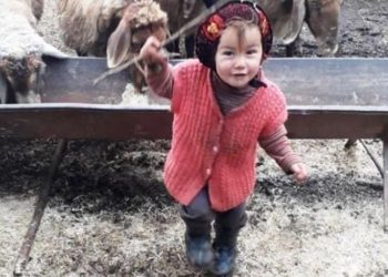 Müslüme'nin annesi: Kayınpederim bana cinsel saldırıda bulundu