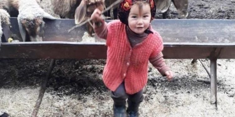 Müslüme'nin annesi: Kayınpederim bana cinsel saldırıda bulundu