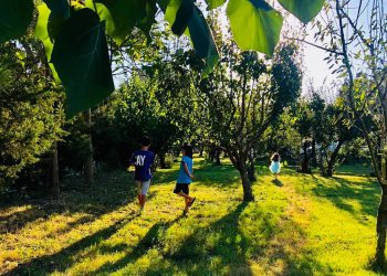 Nesin Vakfı: "İstanbul Valiliği’nin hukuka ve hakkaniyete aykırı yönleri yeniden değerlendireceğini umuyoruz."