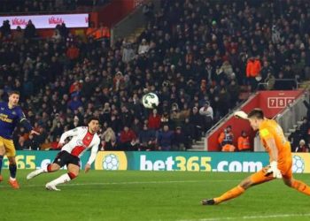 Newcastle United'ın kalecisi Nick Pope İngiltere'de 10 maçtır gol yemiyor