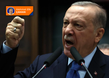 Ölü balık, kükreyen fare ve “ilginç İsveç yargısı”