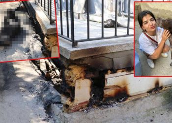 Paşa isimli köpeği kulübesinde diri diri yaktılar