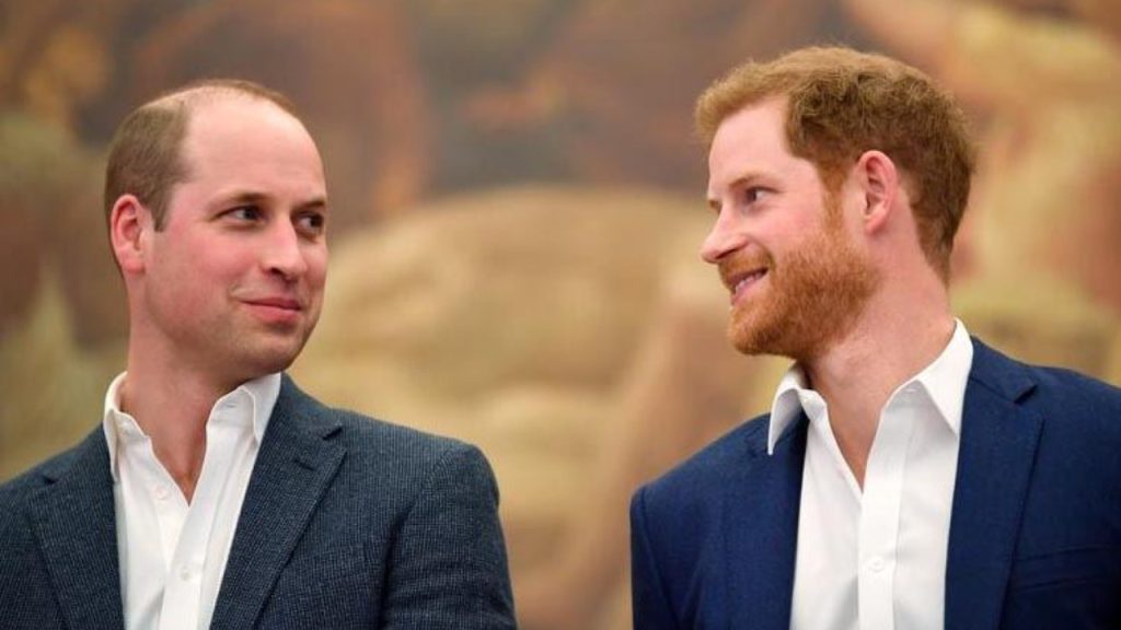 Prens Harry: William, Meghan'a 'ömür törpüsü' dedi ve beni dövdü