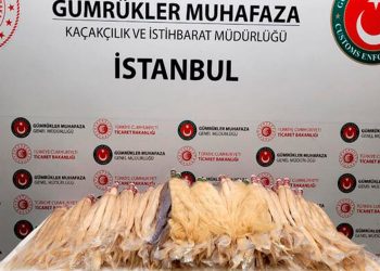 Sabiha Gökçen'de 54 kilo insan saçı ele geçirildi