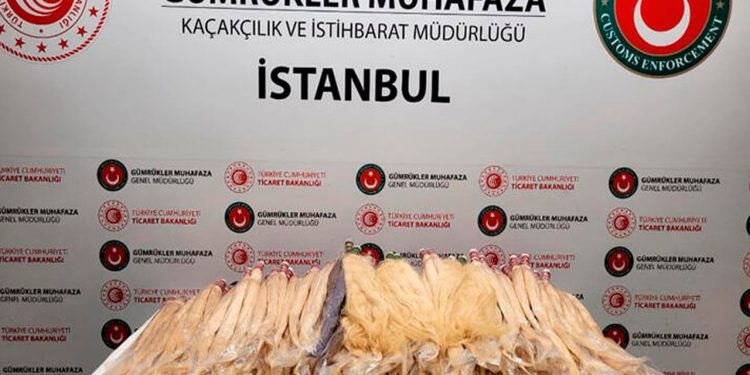 Sabiha Gökçen'de 54 kilo insan saçı ele geçirildi