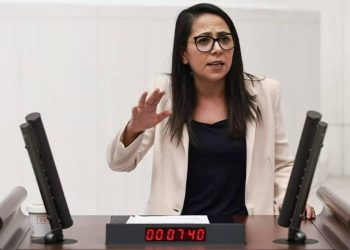 Sera Kadıgil: Erdoğan hem yeni seçim kanununu uygulayıp hem de aday olamaz