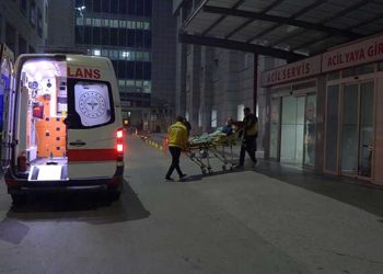 Sosyal medya fenomeninin de aralarında bulunduğu 15 kişi mantardan zehirlendi
