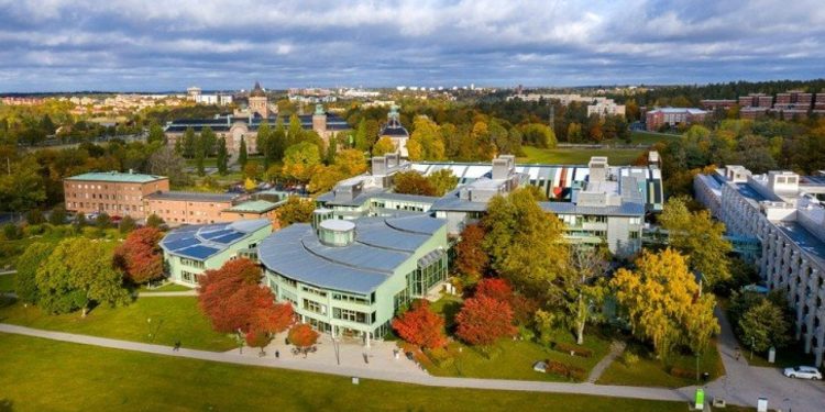 Stockholm Üniversitesi Türk öğrenciye ayrımcılık nedeniyle özür diledi