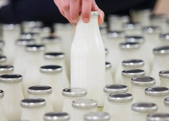 Süt ve süt ürünleri üretiminde sert düşüş!