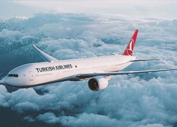 THY uçağı kuş sürüsüne çarptı