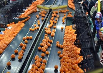 TÜİK açıkladı: Tarımda yıllık enflasyon 151'e yükseldi