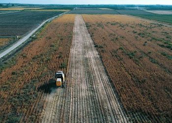 TÜİK, tarımsal girdi enflasyonunu açıkladı: Yüzde 121