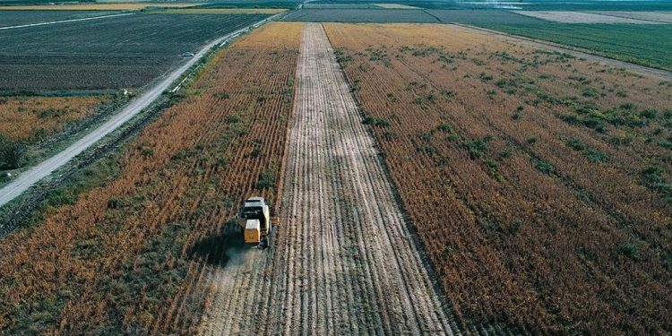 TÜİK, tarımsal girdi enflasyonunu açıkladı: Yüzde 121