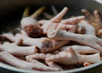 "Tavuk ayağı yiyin, sağlığa ve bütçeye faydalı"