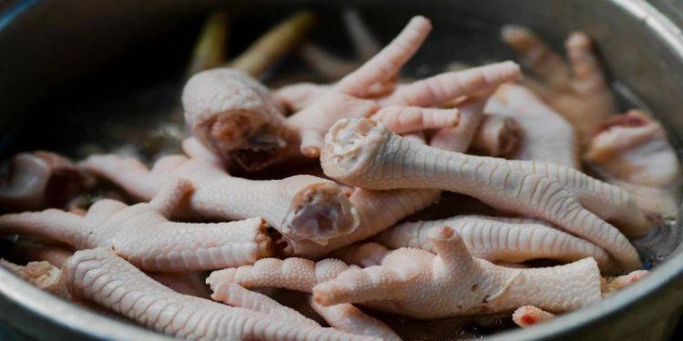 "Tavuk ayağı yiyin, sağlığa ve bütçeye faydalı"