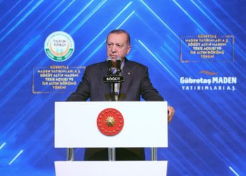 Tayyip Erdoğan, Bilecik Valisini fırçaladı: Sen bana başka şeyler anlatıyorsun!