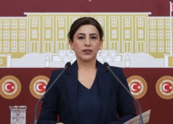 Tecrit paylaşımı yapan HDP'li İmir hakkında fezleke