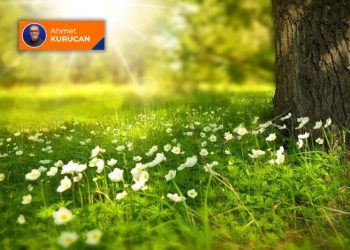 Telefon rehberi: Cansız canlılar, canlı cenazeler ve asırlık canlılar