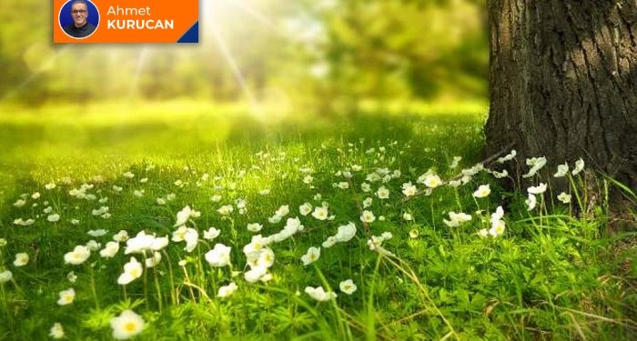 Telefon rehberi: Cansız canlılar, canlı cenazeler ve asırlık canlılar