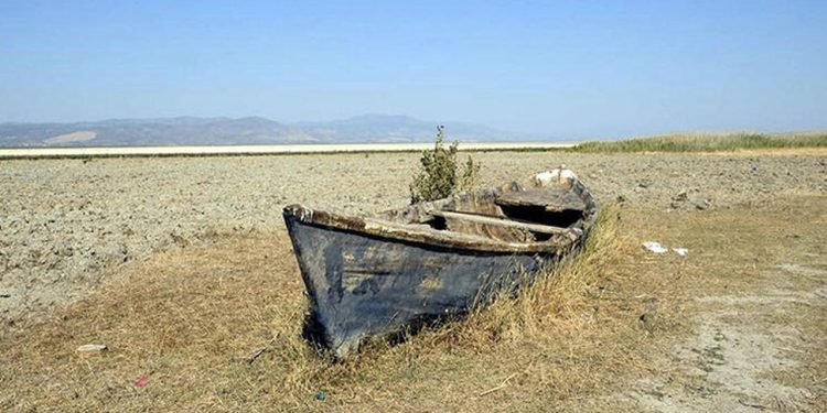 Türkiye'nin ilk iklim davasında karar çıktı