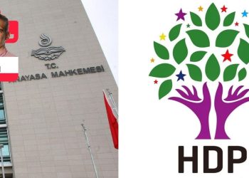 Tuz koktu, sarı öküz kaçtı, vasaire