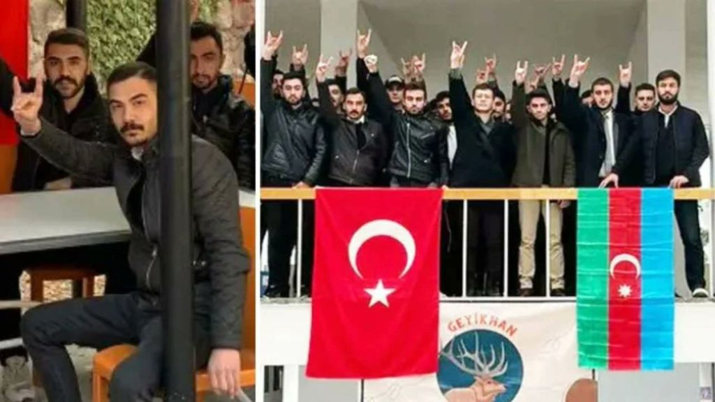 Ülkü Ocakları üyesi Yalçın, önünü kestiği kadını ağır yaraladı