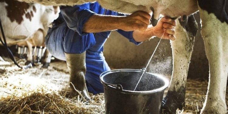 Ulusal Süt Konseyi'nden üreticiyi üzen karar: Çiğ süt fiyatı güncellenmedi