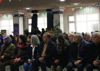 Yeşil Sol Parti Eşsözcüsü Akın: Birlikte mücadele ederek kazanacağız