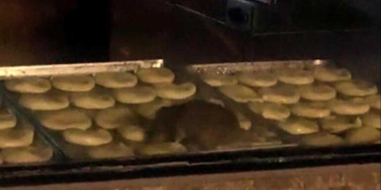 Yiyeceklerin üzerinde fare gezen işletme mühürlendi