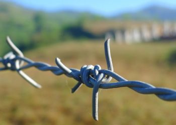 Yunanistan, Meriç kıyısına 140 kilometrelik çelik çit çekecek