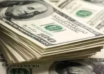 Yurtdışı dövizini Merkez Bankası'na satan şirkete yüzde 2 prim