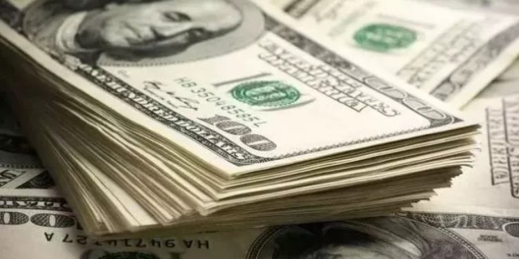 Yurtdışı dövizini Merkez Bankası'na satan şirkete yüzde 2 prim