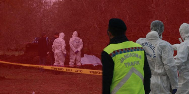 Zeytinliğe getirilen gübreden ceset çıktı