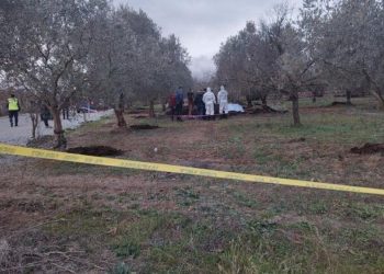 Zeytinlik için getirilen gübrenin içinden ceset çıktı