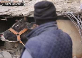 Depremin 16’ncı gününde enkazdan sağ çıkarıldılar